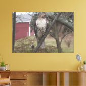 RoodstaartHawk op de Boom Red Barn 60 x 40 inch Canvas Afdruk (Insitu (Woonkamer))