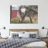 RoodstaartHawk op de Boom Red Barn 60 x 40 inch Canvas Afdruk (Insitu (Slaapkamer))