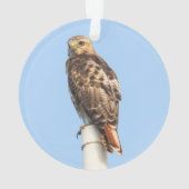 RoodstaartHawk Ornament (achterkant)