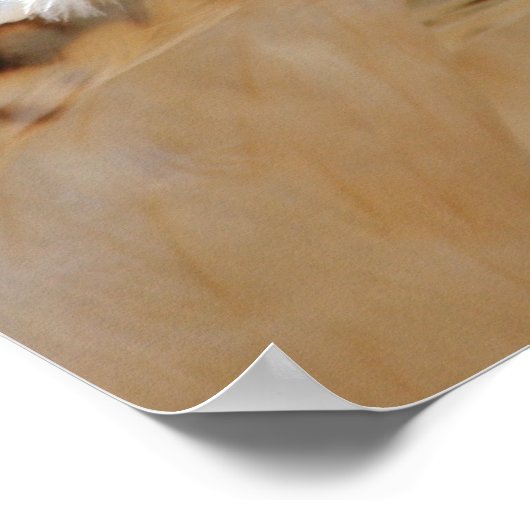 RoodstaartHawk-portret Poster (Hoek)