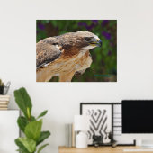 RoodstaartHawk-portret Poster (Thuiskantoor)