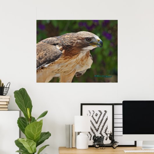 RoodstaartHawk-portret Poster (Thuiskantoor)