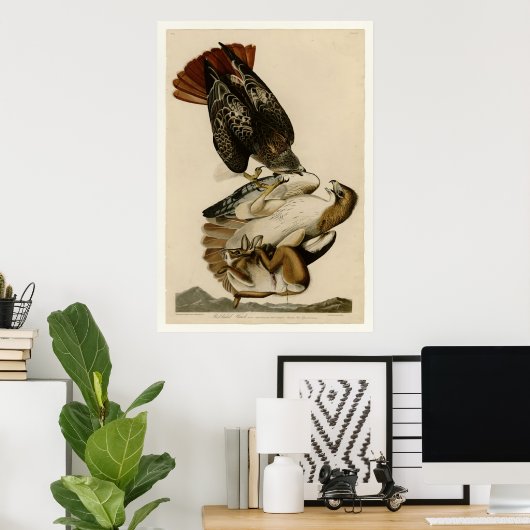 RoodstaartHawk Poster (Thuiskantoor)