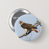 RoodstaartHawk Ronde Button 5,7 Cm (Voorkant /achterkant)