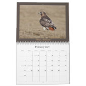 RoodstaartHawk Yarly Calendar Kalender (Feb 2027)