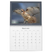 RoodstaartHawk Yarly Calendar Kalender (Mar 2026)