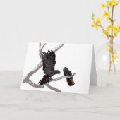 roodstaartkaketoe kaart (Gele Bloem)