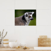 Roodstaartkieuwmoer-briefkaart met portret poster (Keuken)