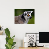 Roodstaartkieuwmoer-briefkaart met portret poster (Thuiskantoor)