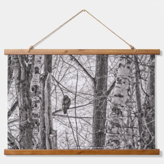 Roodstaartmeid P8443 Hangend Wandkleed (Voorkant)