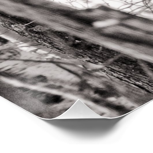 Roodstaartmeid P8443 Perfect Poster (Hoek)