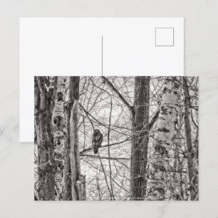 Roodstaartmeid P8443 Uitnodiging Briefkaart