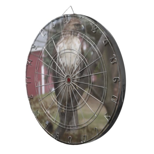 roodstaartpijpkarton dartbord (Voorkant Rechts)