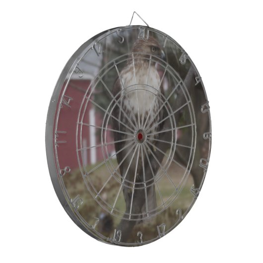 roodstaartpijpkarton dartbord (Voorkant Links)