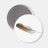 Roodstaartschelp Magneet (Voorkant / Achterkant)