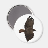 Roodstaartschets Magneet (Voorkant / Achterkant)