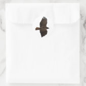 Roodstaartschets Ronde Sticker (Tas)