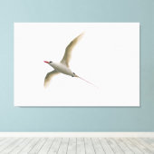 roodstaarttropische vogel canvas afdruk (Insitu (Houten vloer))