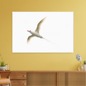 roodstaarttropische vogel canvas afdruk (Insitu (Woonkamer))