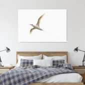 roodstaarttropische vogel canvas afdruk (Insitu (Slaapkamer))