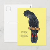 Roodstaartzwarte cartoon briefkaart (Voorkant / Achterkant)
