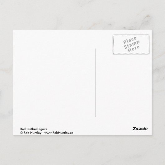 Roodtandijspagave Briefkaart (Achterkant)