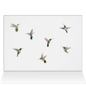 Roodtroebele Hummingbird Birthday Card (Binnen Horizontaal (Boven))