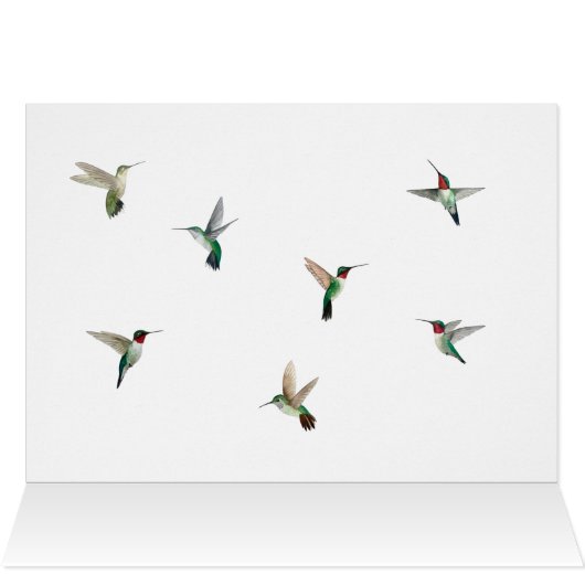 Roodtroebele Hummingbird Birthday Card (Binnen Horizontaal (Boven))