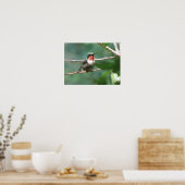 Roodtroebele Hummingbird na Chase Poster (Keuken)