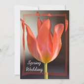 Roodtulp Spring Wedding Announding Kaart (Voorkant)