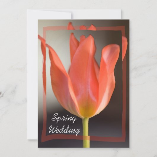 Roodtulp Spring Wedding Announding Kaart (Voorkant)