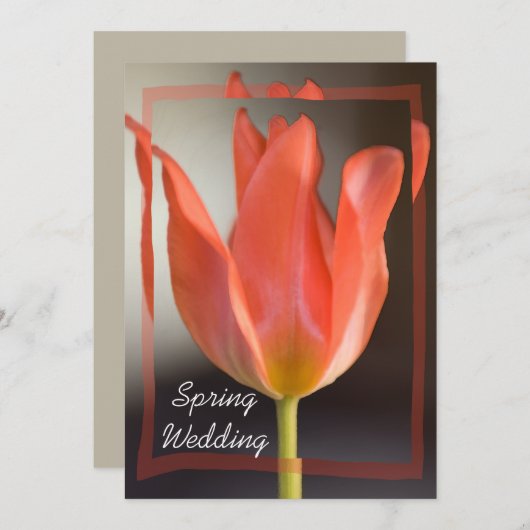 Roodtulp Spring Wedding Announding Kaart (Voorkant / Achterkant)