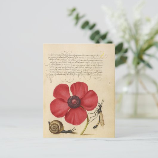 Roodventiel en slak briefkaart (Staand voorkant)