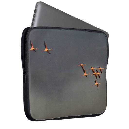 Roodvlamvertragers Laptop Sleeve (Voorkant Rechts)