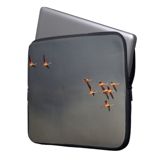 Roodvlamvertragers Laptop Sleeve (Voorkant Links)