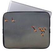Roodvlamvertragers Laptop Sleeve (Voorkant)