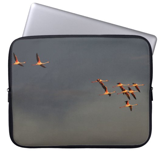 Roodvlamvertragers Laptop Sleeve (Voorkant)