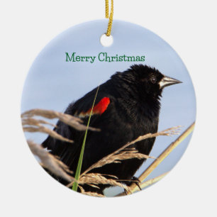 roodvleugelig merel Ornament