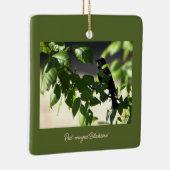 roodvleugelig merel Ornament (Rechts)