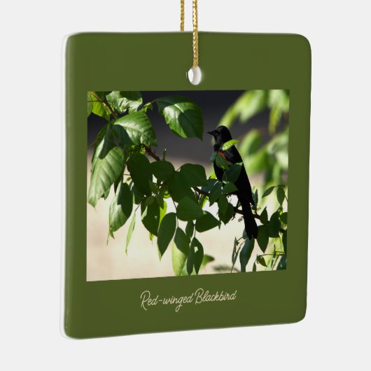 roodvleugelig merel Ornament (Rechts)