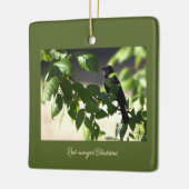 roodvleugelig merel Ornament (Links)