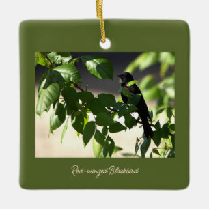 roodvleugelig merel Ornament