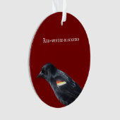 roodvleugelig merel Ornament (voorkant)