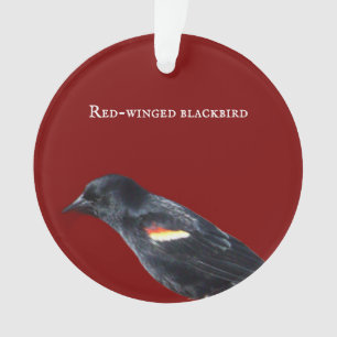 roodvleugelig merel Ornament