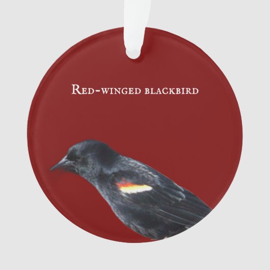 roodvleugelig merel Ornament (voorkant)
