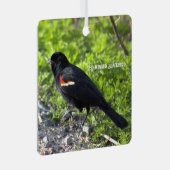 roodvleugelig merel Ornament (Voorkant Rechts)