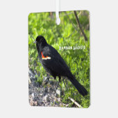 roodvleugelig merel Ornament (Voorkant links)