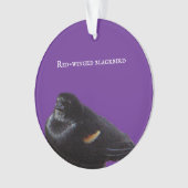 roodvleugelig merel Ornament (voorkant)