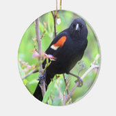 roodvleugelig merel Ornament (Links)