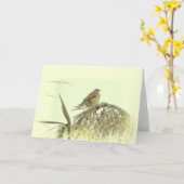 ROODVLEUGELIG WENSKAART KAART (Gele Bloem)